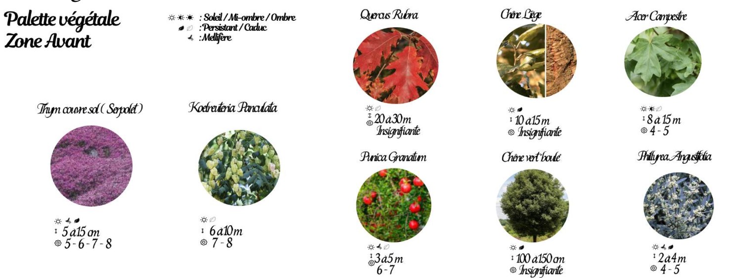 Extrait de la palette végétale du projet dans le Médoc
