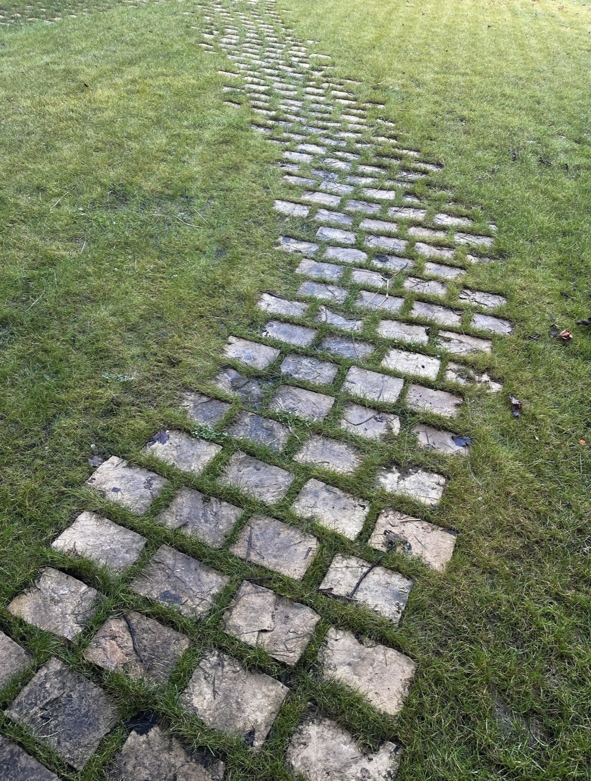 Cheminement naturel en pavés dans une pelouse
